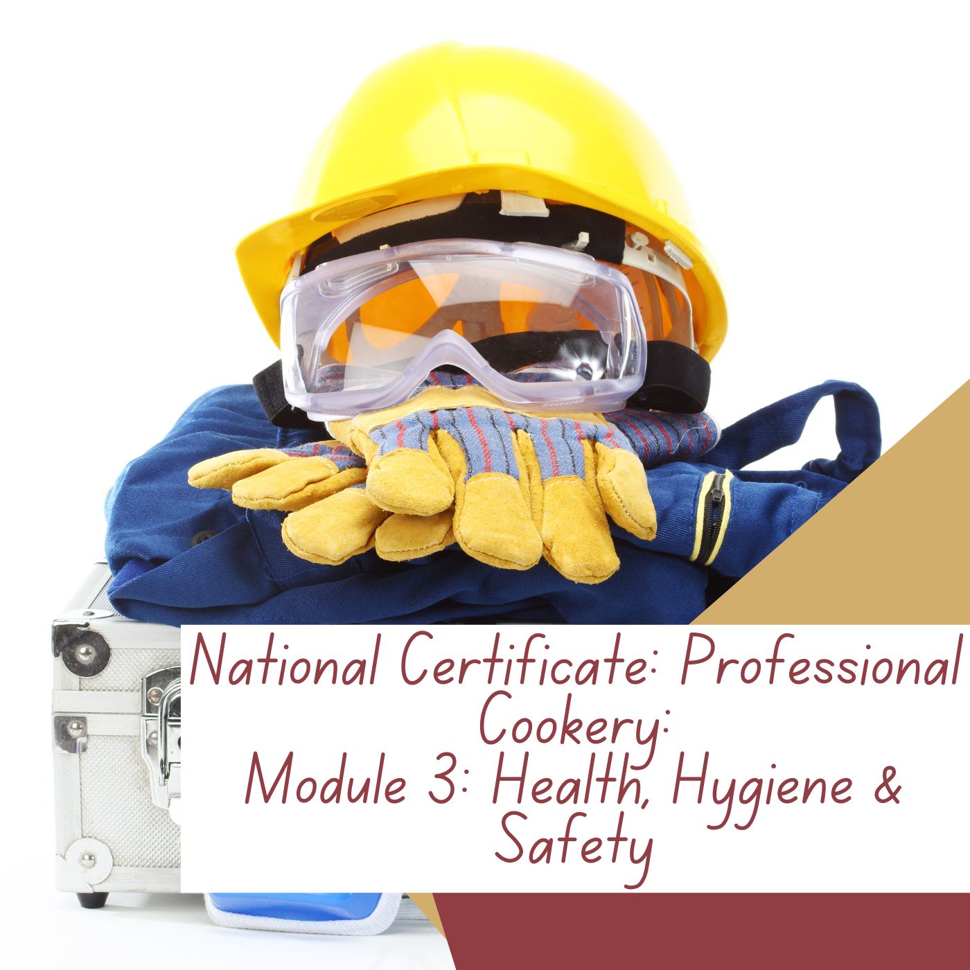 National Certificate: Professional Cookery: Module 3: Health, Hygiene & Safety