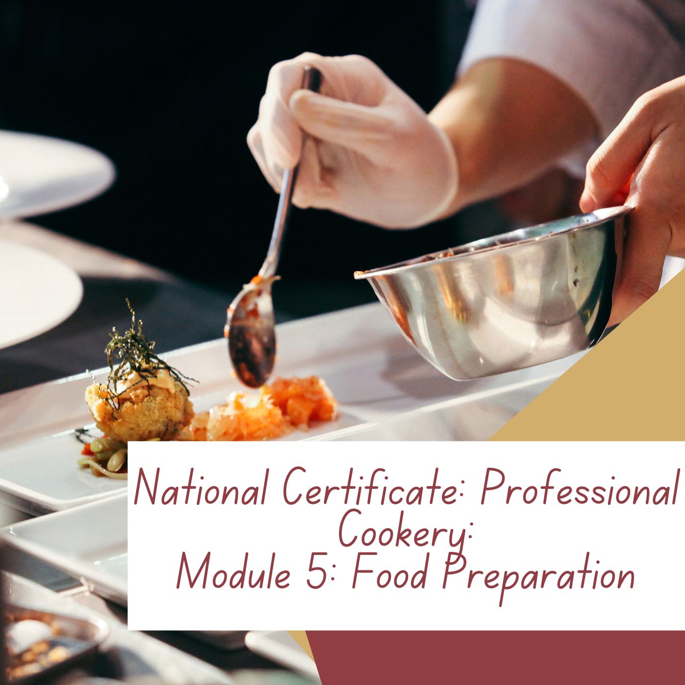 National Certificate: Professional Cookery: Module 5: Food Preparation