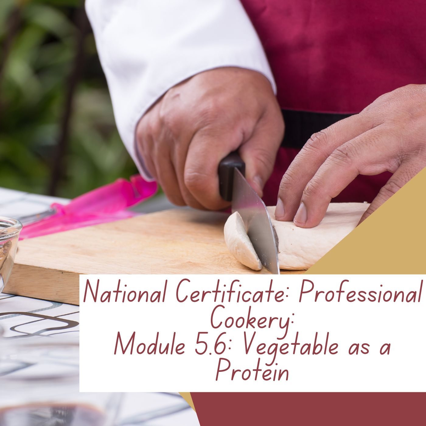 National Certificate: Professional Cookery: Module 5.6: Vegetable as a Protein