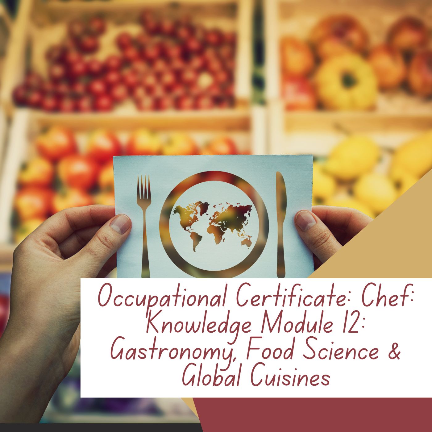 Occupational Certificate: Chef: Knowledge Module 12: Gastronomy, Food Science & Global Cuisine