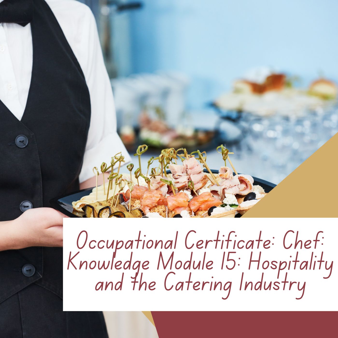 Occupational Certificate: Chef: Knowledge Module 15: Hospitality and the Catering Industry