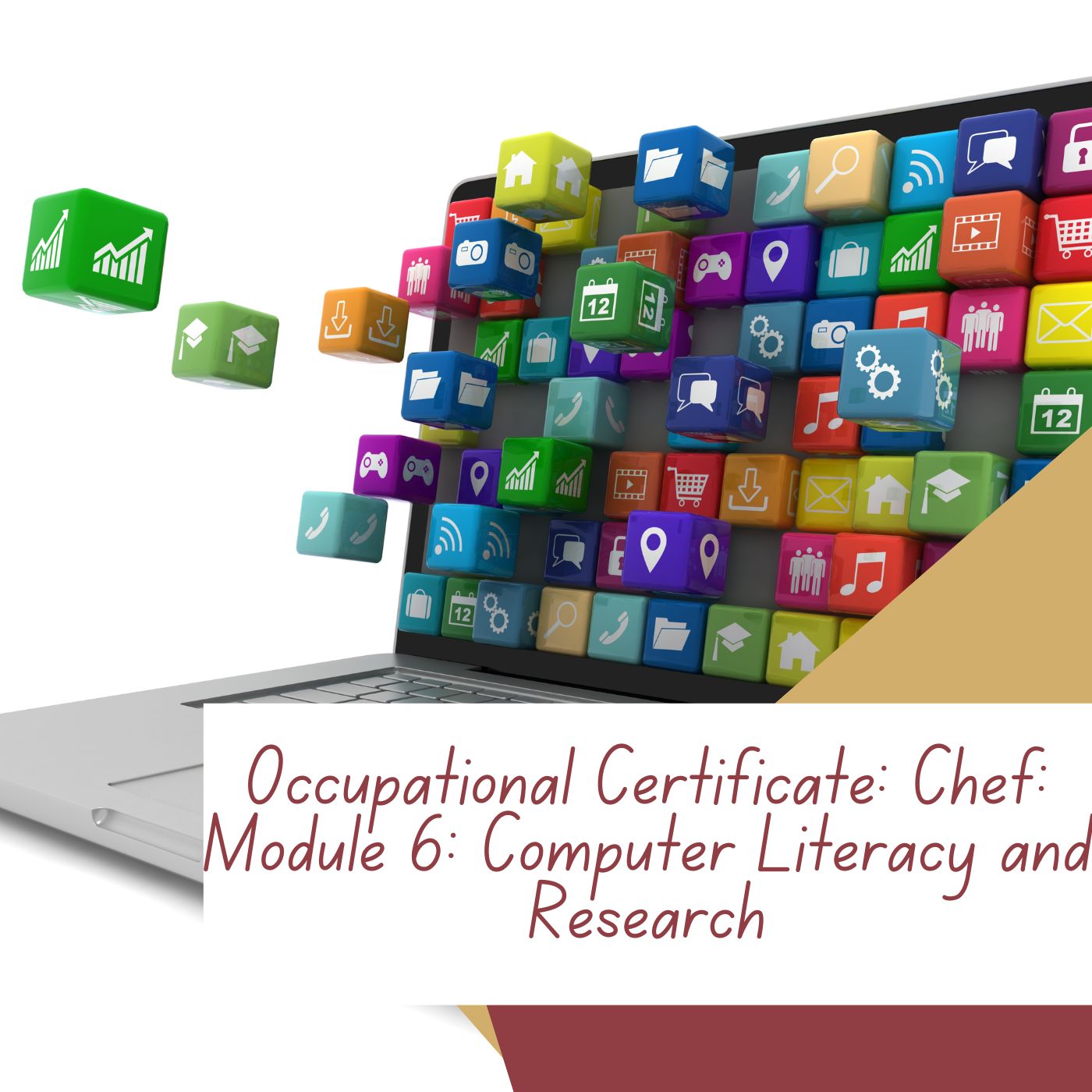Occupational Certificate: Chef: Module 6: Computer Literacy and Research