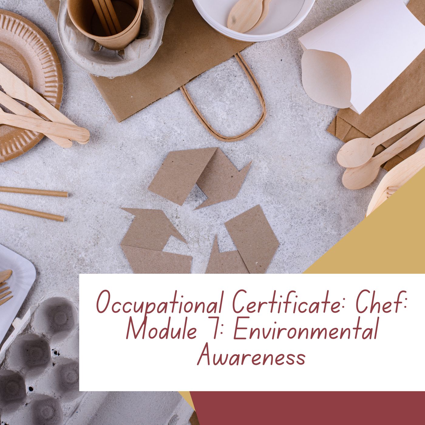 Occupational Certificate: Chef: Module 7: Environmental Awareness