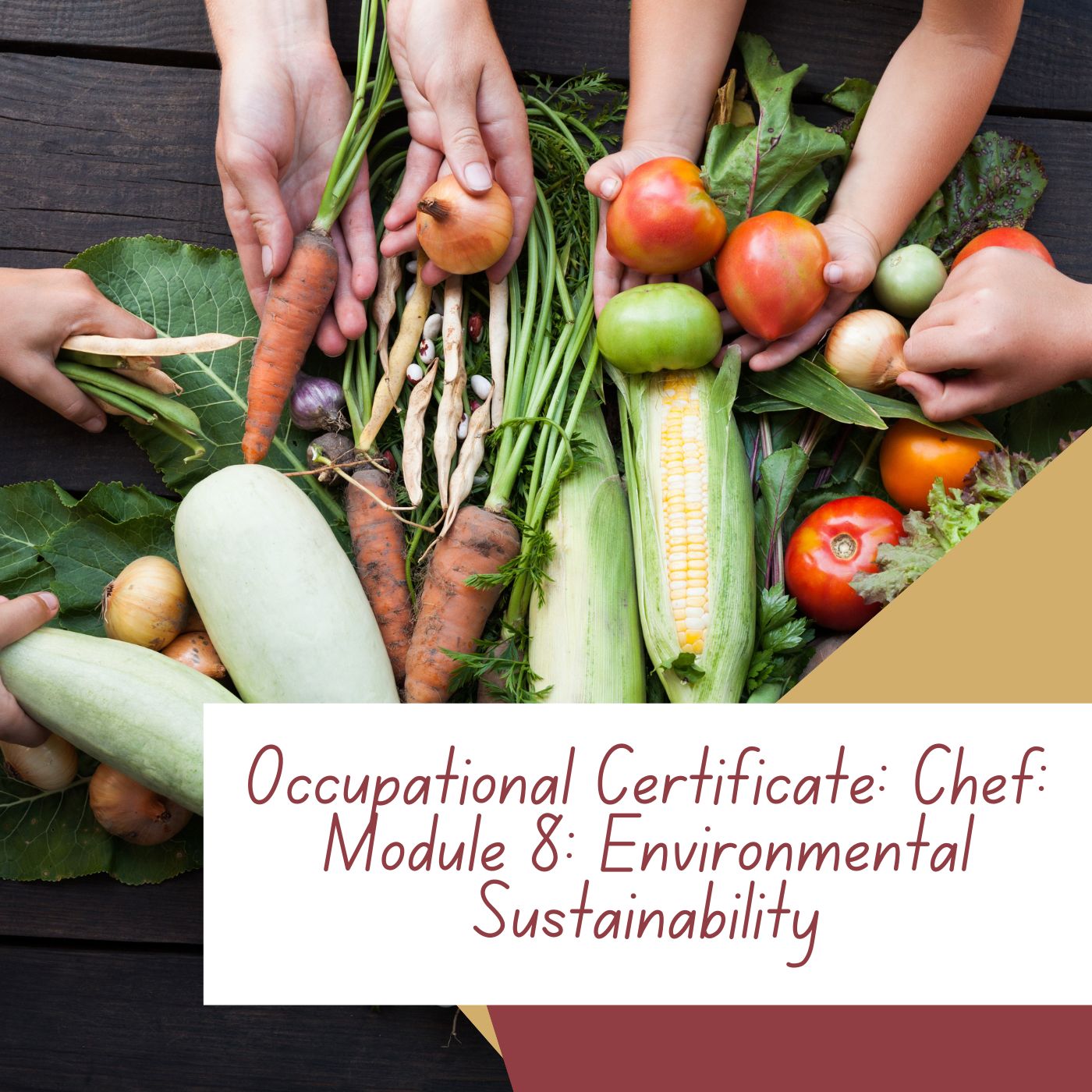 Occupational Certificate: Chef: Module 8: Environmental Sustainability