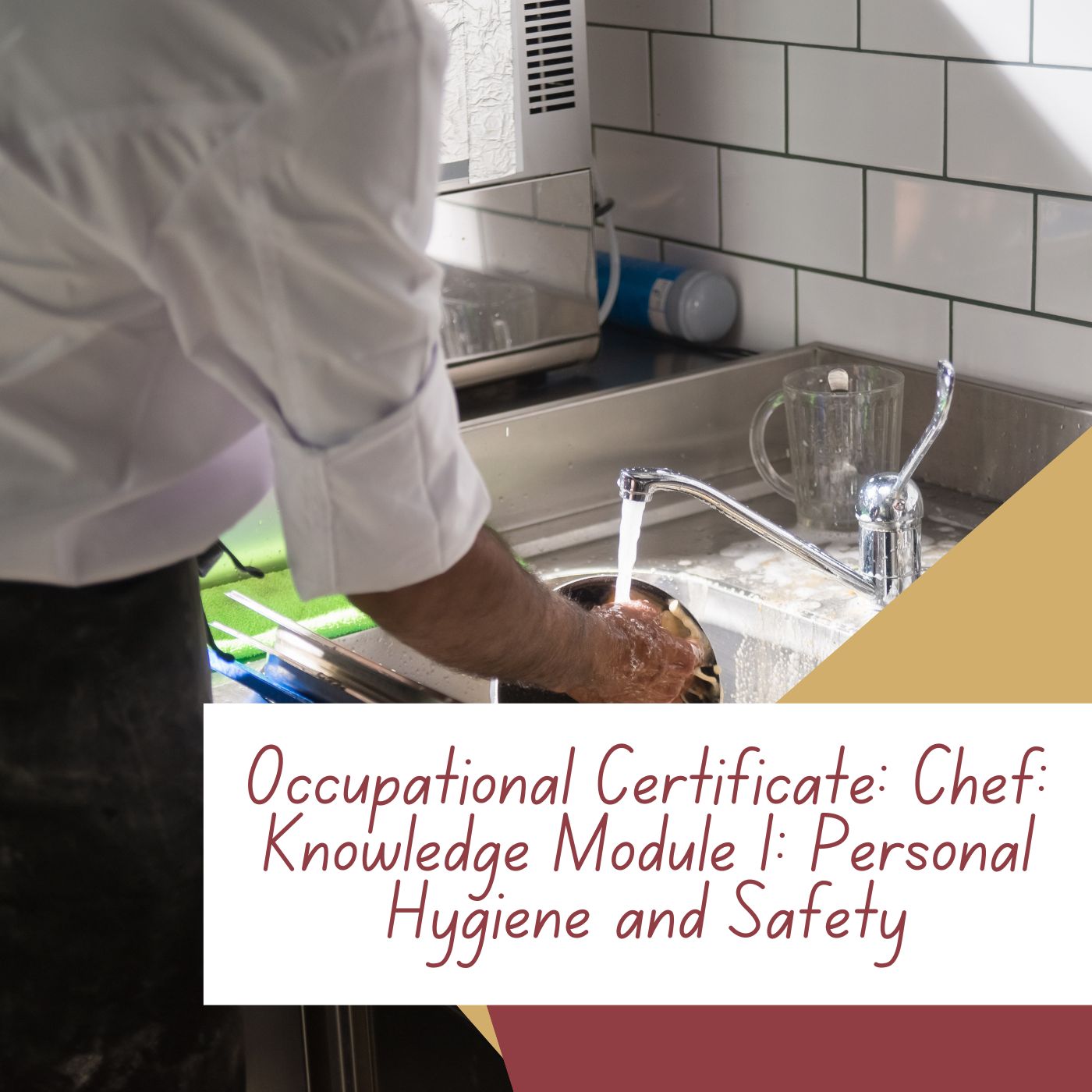 Occupational Certificate: Chef: Knowledge Module 1: Personal Hygiene and Safety
